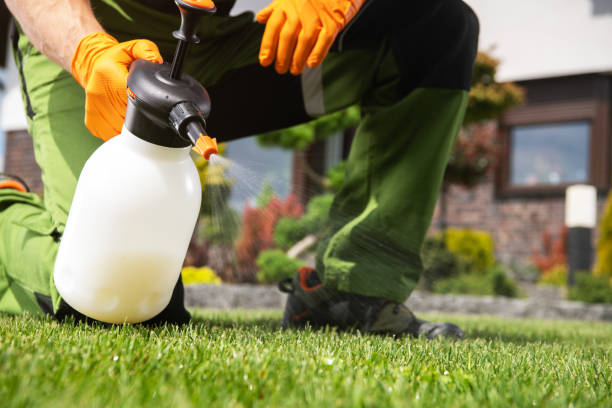 Best Insect Control  in Putney, GA