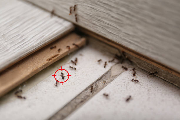 Pest Control Cost in Putney, GA