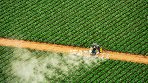 Best Insect Control  in Putney, GA