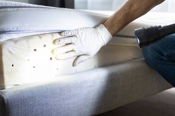 Trusted Putney, GA Pest Control Experts