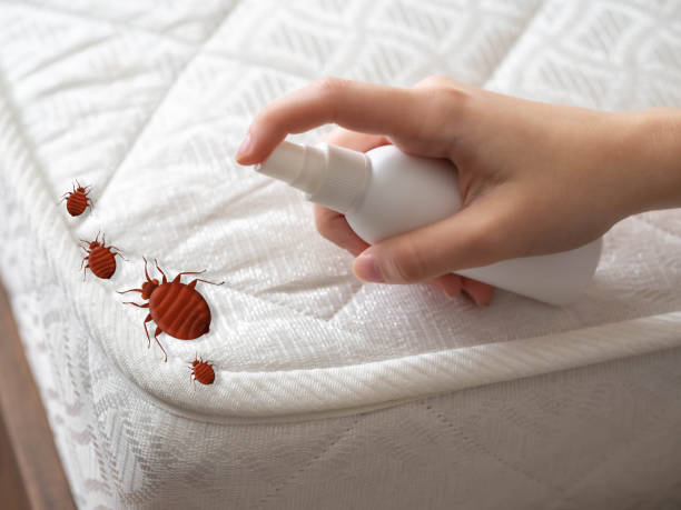 Best Ant Control Services  in Putney, GA