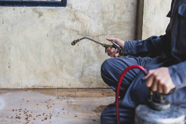 Best Mosquito Control Services  in Putney, GA